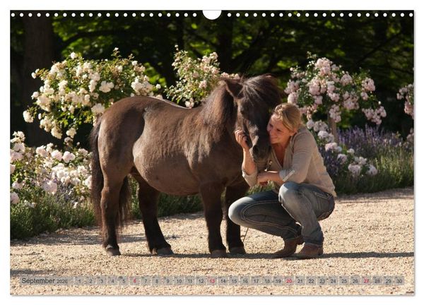 Produktbild: Natural Horsemanship - Partnerschaft mit Pferden (Wandkalender 2026 DIN A3 quer), CALVENDO Monatskalender