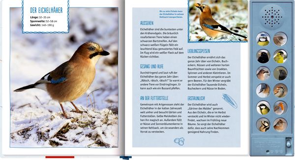 Produktbild: V&ouml;gel im Winter bei dir zu Gast