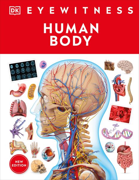 Produktbild: Eyewitness Human Body