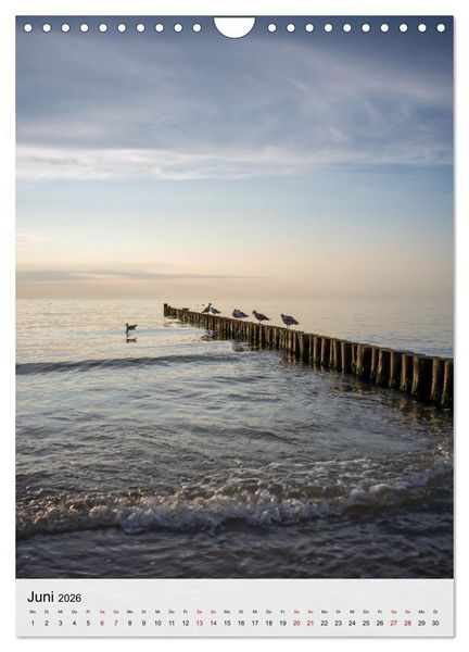 Produktbild: Fischland-Dar&szlig;-Zingst - Im Licht des Nordens (Wandkalender 2026 DIN A4 hoch), CALVENDO Monatskalender