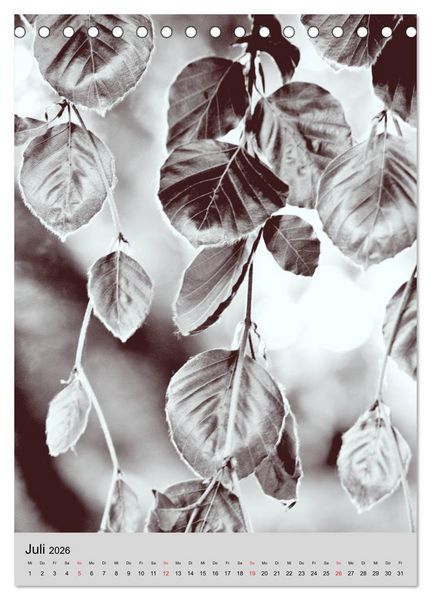 Produktbild: Natur monochrom Die besondere Wirkung (Tischkalender 2026 DIN A5 hoch), CALVENDO Monatskalender