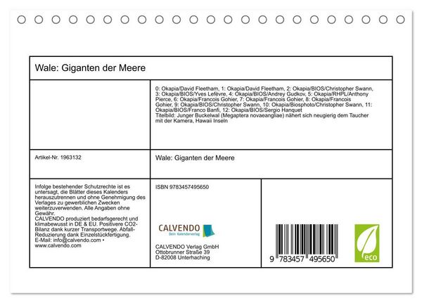 Produktbild: Wale: Giganten der Meere (Tischkalender 2026 DIN A5 quer), CALVENDO Monatskalender