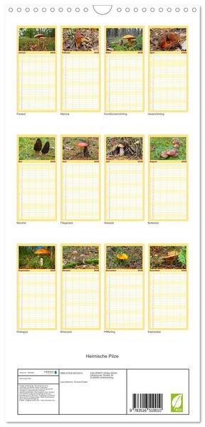 Produktbild: Familienplaner 2026 - Heimische Pilze mit 5 Spalten (Wandkalender, 21 x 45 cm) CALVENDO