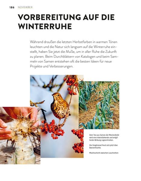 Produktbild: Das gro&szlig;e Gartenjahr-Buch