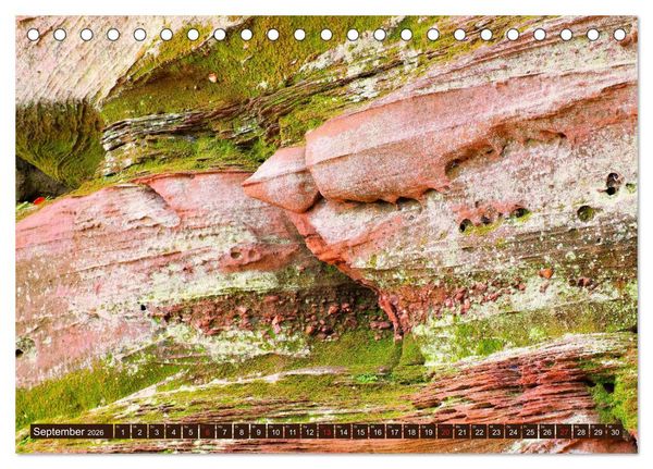 Produktbild: Der Altschlossfelsen - Gr&ouml;&szlig;te Felsformation der Pfalz im herbstlichen Farbspiel (Tischkalender 2026 DIN A5 quer), CALVENDO Monatskalender