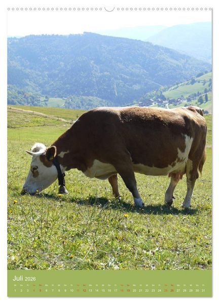 Produktbild: Schwarzwald und K&uuml;he im Hochformat (hochwertiger Premium Wandkalender 2026 DIN A2 hoch), Kunstdruck in Hochglanz