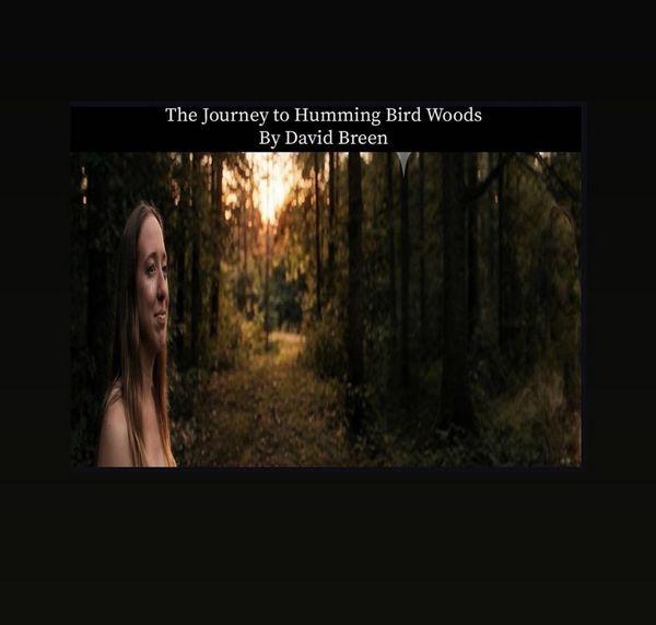 Produktbild: The Journey to Humming Bird Woods