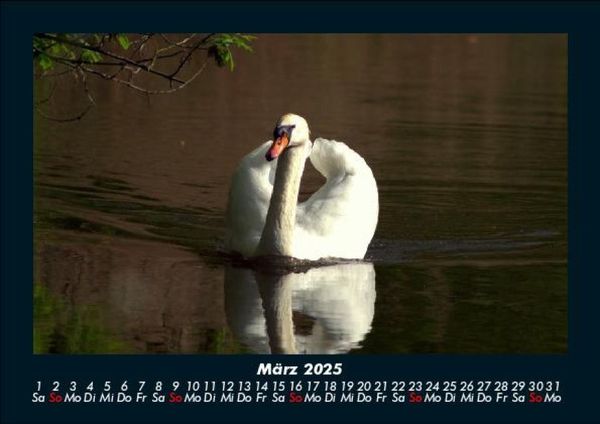 Produktbild: Tag am See 2025 Fotokalender DIN A5