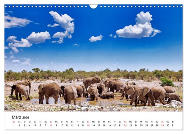 Produktbild: Namibias Elefanten (Wandkalender 2026 DIN A3 quer), CALVENDO Monatskalender