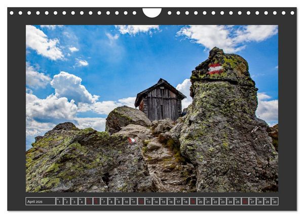 Produktbild: Gr&uuml;&szlig;e aus Wald (Wandkalender 2026 DIN A4 quer), CALVENDO Monatskalender