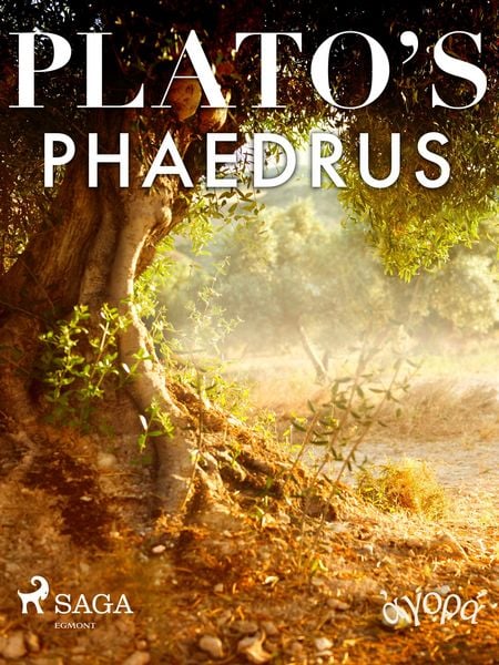 Produktbild: Plato's Phaedrus