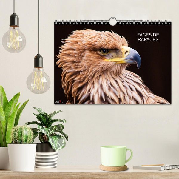Produktbild: FACES DE RAPACES (Calendrier mural 2026 DIN A4 vertical), CALVENDO calendrier mensuel