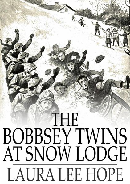 Produktbild: Bobbsey Twins at Snow Lodge