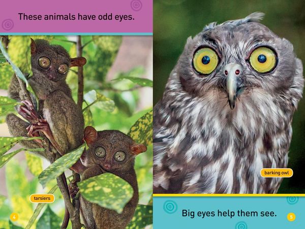 Produktbild: Odd Animals (National Geographic Kids Readers, Pre-Reader)