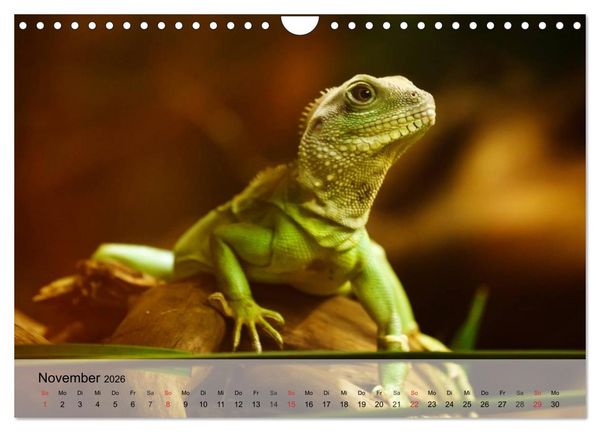 Produktbild: Kleine Reptilien (Wandkalender 2026 DIN A4 quer), CALVENDO Monatskalender