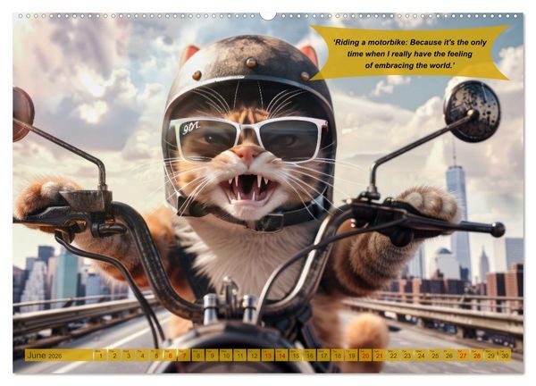 Produktbild: Funny animals as motorbike riders (Wall Calendar 2026 DIN A2 landscape), CALVENDO 12 Month Wall Calendar