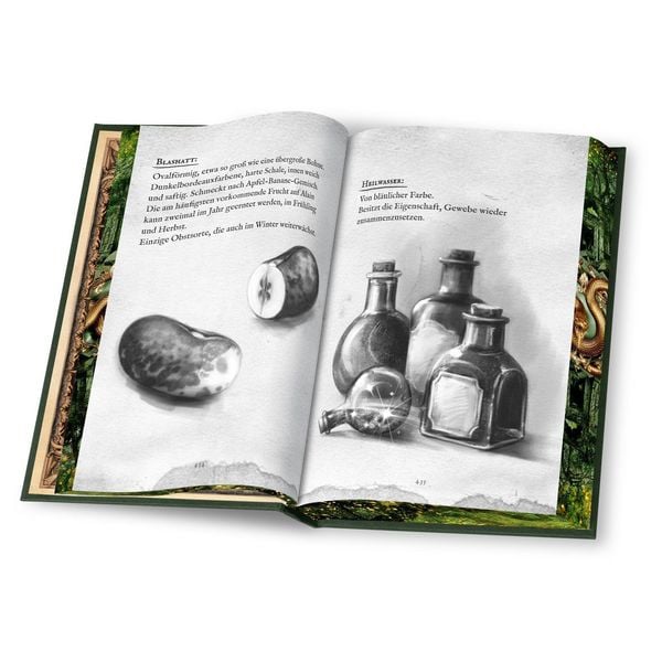Produktbild: Die Pforten von Lopahr: Magie und Mythos