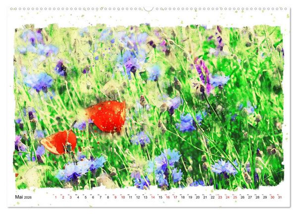 Produktbild: Mohnbl&uuml;ten in Aquarell (hochwertiger Premium Wandkalender 2026 DIN A2 quer), Kunstdruck in Hochglanz