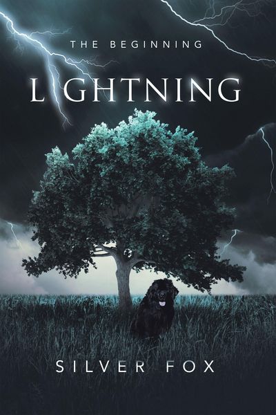 Produktbild: Lightning
