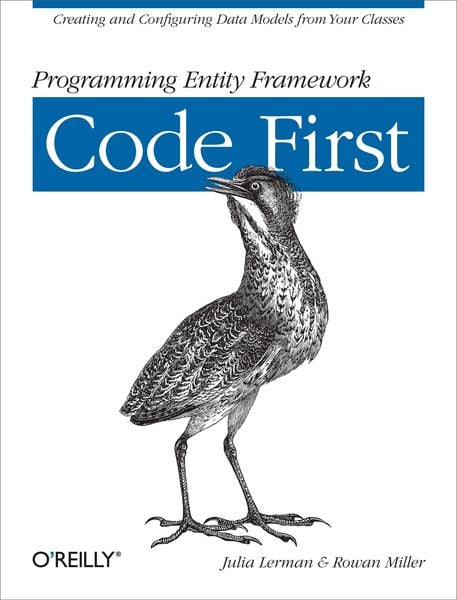 Produktbild: Programming Entity Framework: Code First