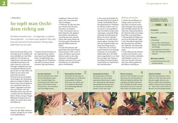 Produktbild: Orchideen pflegen