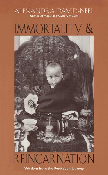 Produktbild: Immortality and Reincarnation