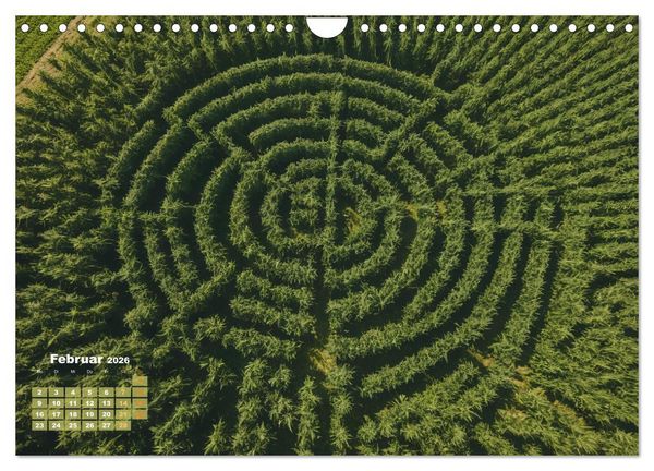 Produktbild: Wundersch&ouml;ne Cannabisfelder (Wandkalender 2026 DIN A4 quer), CALVENDO Monatskalender