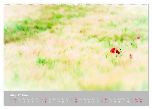 Produktbild: Poppy Love (High Quality Premium Wall Calendar 2026 DIN A2 landscape),CALVENDO 12 Month Wall Calendar