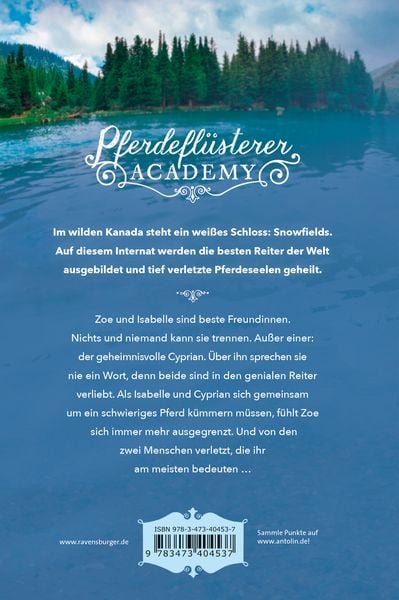 Produktbild: Pferdefl&uuml;sterer-Academy, Band 4: Verletztes Vertrauen