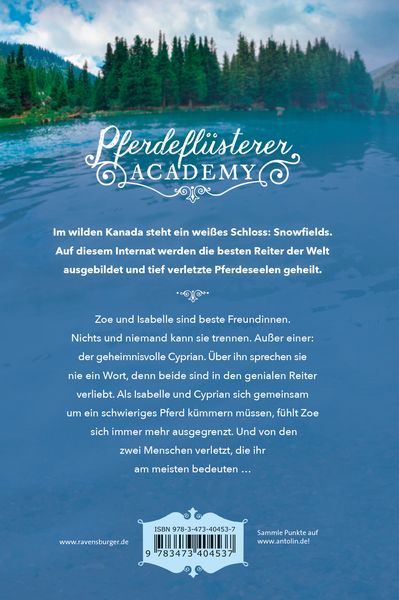 Produktbild: Pferdefl&uuml;sterer-Academy, Band 4: Verletztes Vertrauen