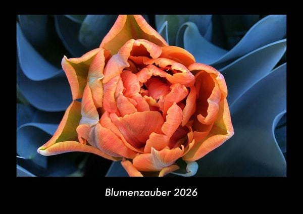 Produktbild: Blumenzauber 2026 Fotokalender DIN A3