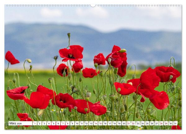 Produktbild: Vogelparadies Volvi-See (hochwertiger Premium Wandkalender 2026 DIN A2 quer), Kunstdruck in Hochglanz