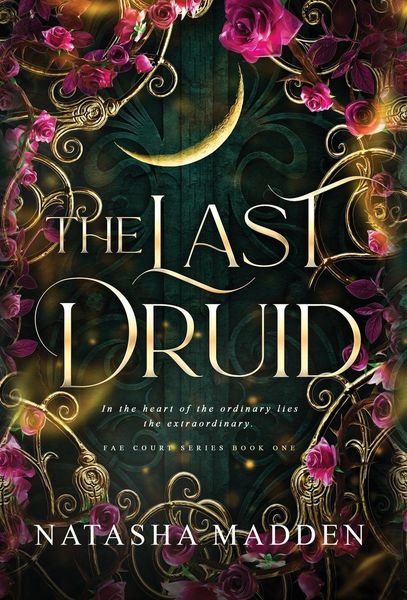 Produktbild: The Last Druid