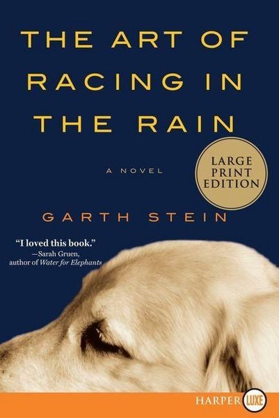 Produktbild: The Art of Racing in the Rain