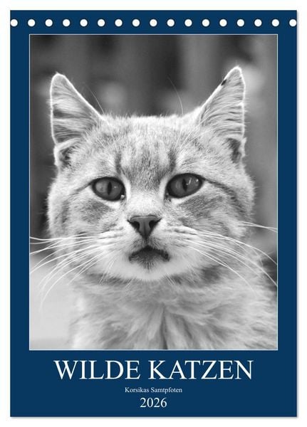 Produktbild: Wilde Katzen - Korsikas Samtpfoten (Tischkalender 2026 DIN A5 hoch), CALVENDO Monatskalender