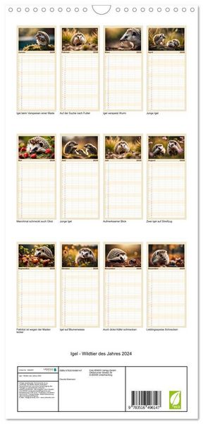 Produktbild: Familienplaner 2026 - Igel - Wildtier des Jahres 2024 mit 5 Spalten (Wandkalender, 21 x 45 cm) CALVENDO