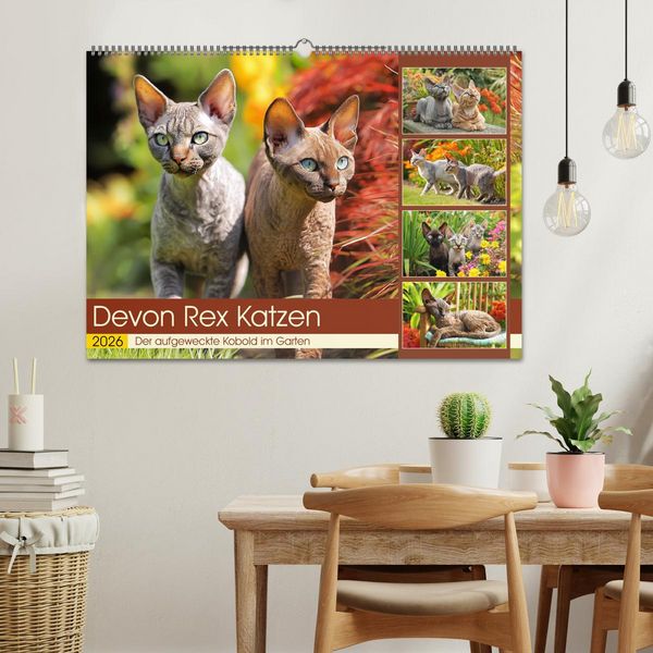 Produktbild: Devon Rex Katzen. Der aufgeweckte Kobold im Garten (Wandkalender 2026 DIN A2 quer), CALVENDO Monatskalender