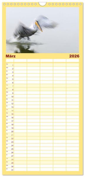 Produktbild: Familienplaner 2026 - Krauskopfpelikane mit 5 Spalten (Wandkalender, 21 x 45 cm) CALVENDO