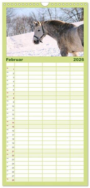 Produktbild: Familienplaner 2026 - Faszination Pferde mit 5 Spalten (Wandkalender, 21 x 45 cm) CALVENDO