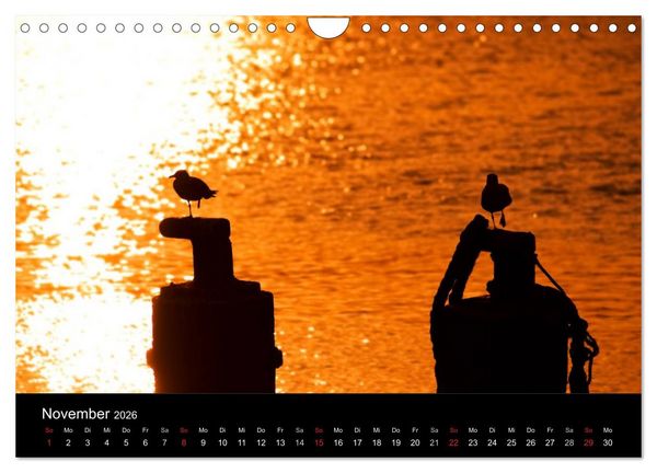 Produktbild: D&auml;nemarks Nordseek&uuml;ste (Wandkalender 2026 DIN A4 quer), CALVENDO Monatskalender