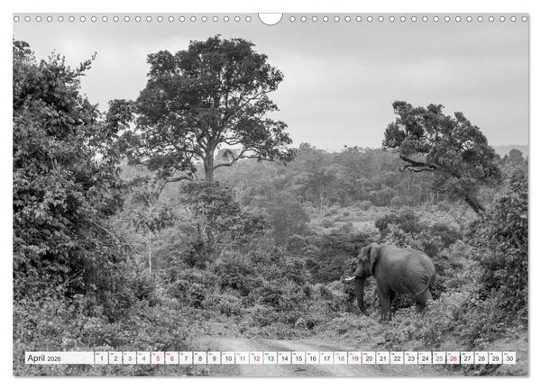 Produktbild: Emotionale Momente: Elefanten in black & white (Wandkalender 2026 DIN A3 quer), CALVENDO Monatskalender