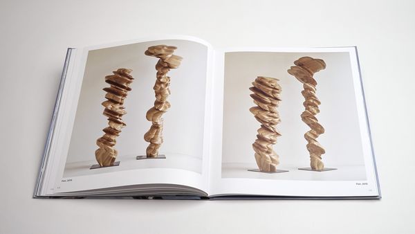 Produktbild: Tony Cragg: Points of View