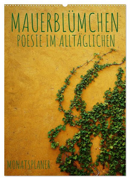 Produktbild: Mauerbl&uuml;mchen - Poesie im Allt&auml;glichen als Monatsplaner (Wandkalender 2026 DIN A2 hoch), CALVENDO Monatskalender