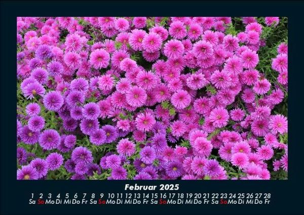 Produktbild: Blumenkalender 2025 Fotokalender DIN A5