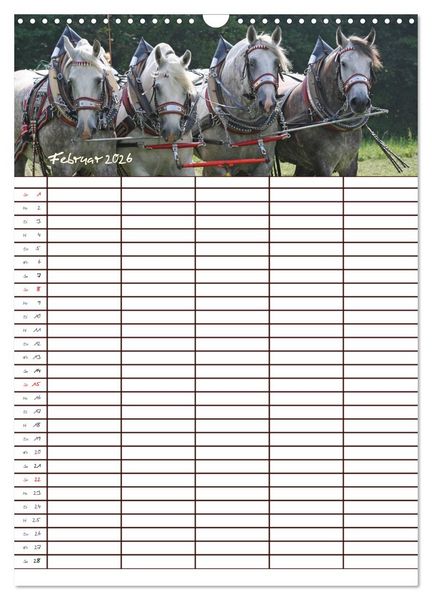 Produktbild: Der Kaltblut-Familienplaner (Wandkalender 2026 DIN A3 hoch), CALVENDO Monatskalender