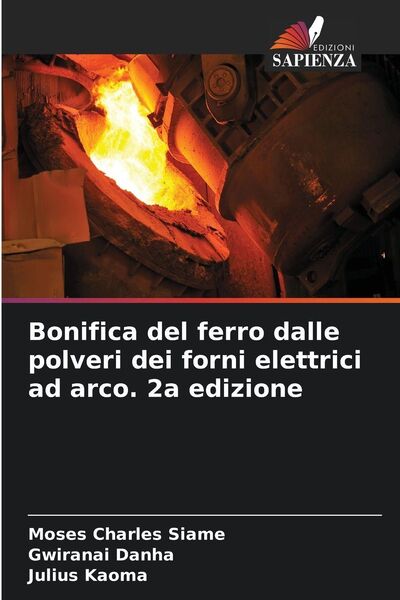 Produktbild: Bonifica del ferro dalle polveri dei forni elettrici ad arco. 2a edizione