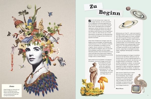 Produktbild: Das gro&szlig;e Buch der Collagen