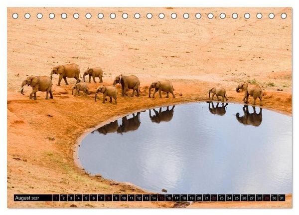 Produktbild: Magie des Augenblicks - Elefanten - Afrikas sanfte Riesen (Tischkalender 2027 DIN A5 quer), CALVENDO Monatskalender