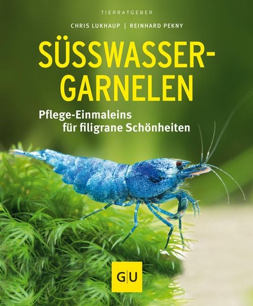 Produktbild: Süßwasser-Garnelen