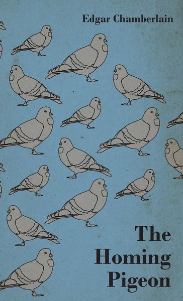 Produktbild: The Homing Pigeon